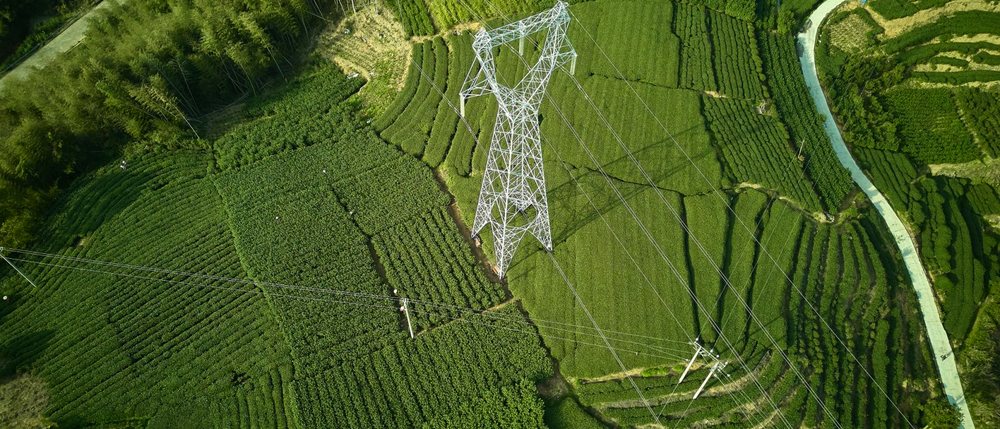 磻溪高山生态茶园：高山梯田式茶园俯瞰