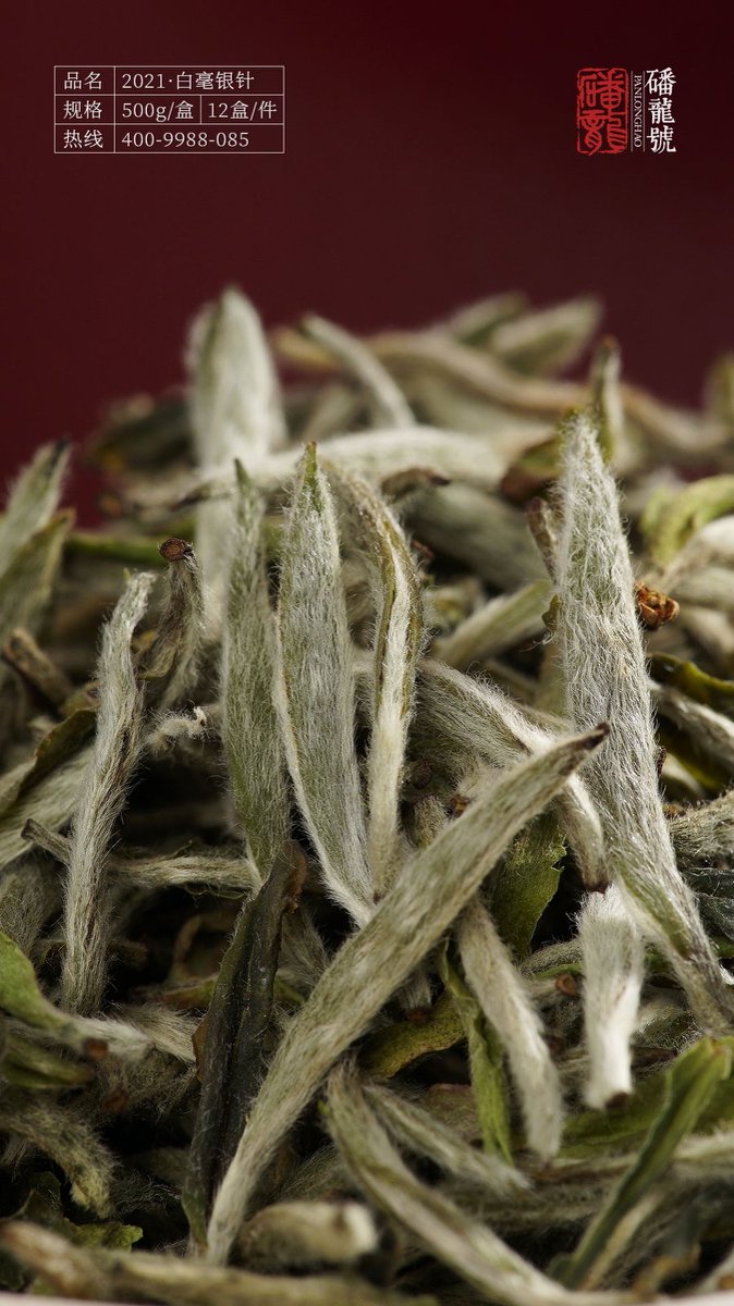 闲雅系列 产品实拍