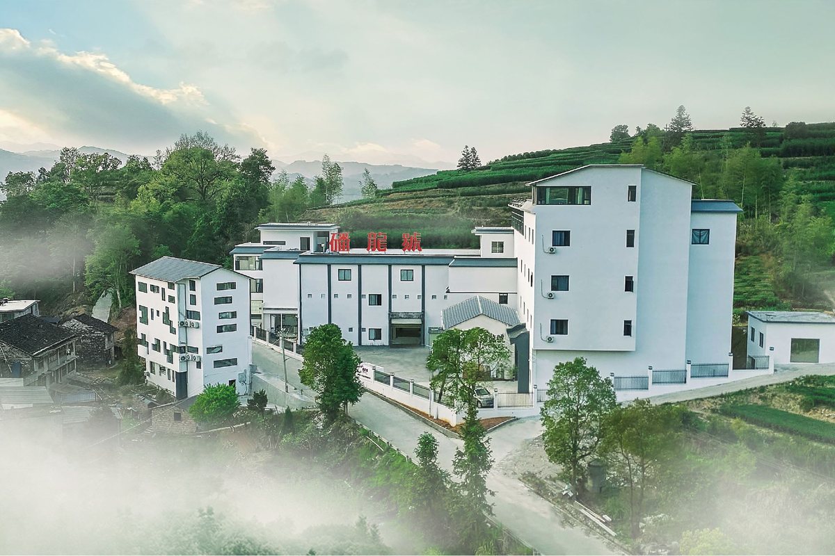 磻龙号白茶三十六湾基地厂房